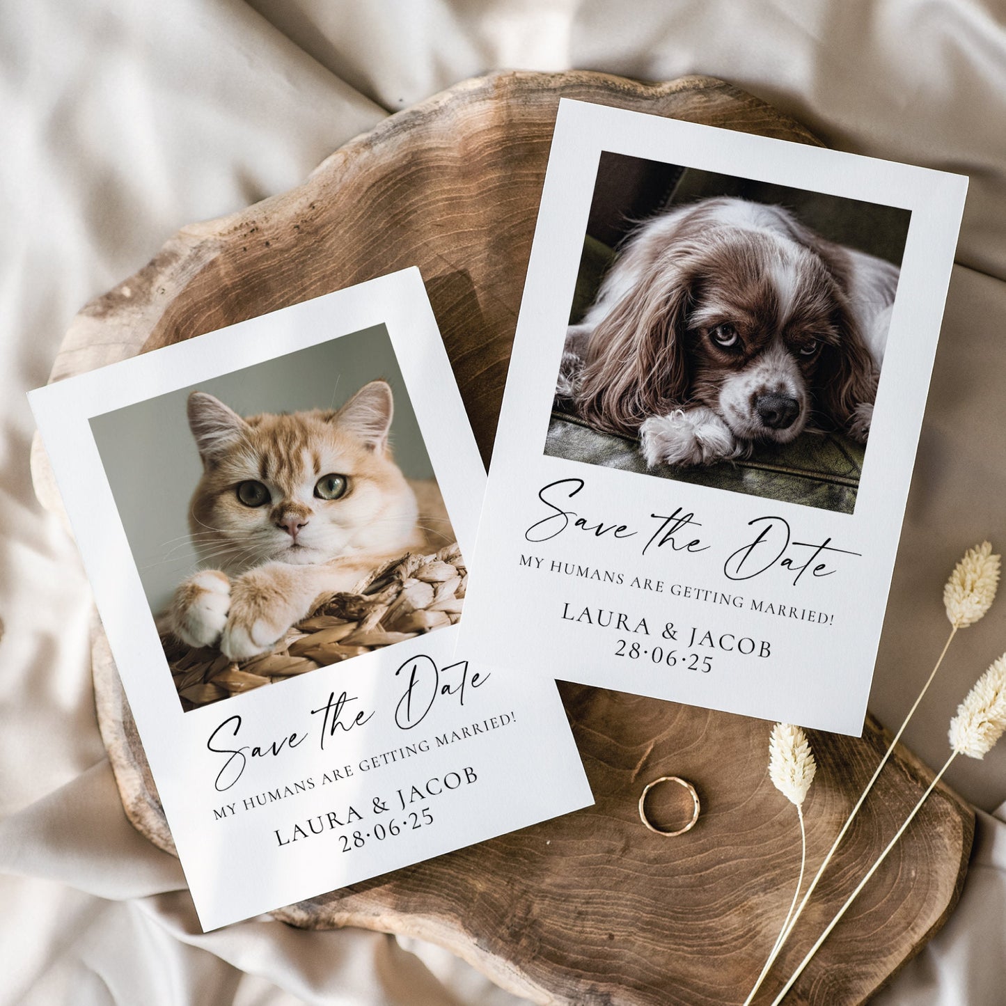 Pet Save the Dates, My Humans are getting Married Save The Date Cards