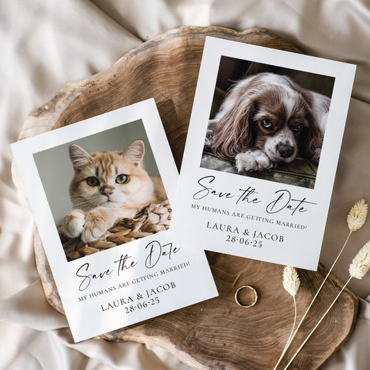 Pet Save the Dates, My Humans are getting Married Save The Date Cards